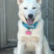 Zoey